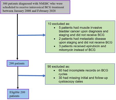Outcomes of intravesical Bacillus Calmette-Guerin in patients with non-muscle invasive bladder cancer: a retrospective study in Australia